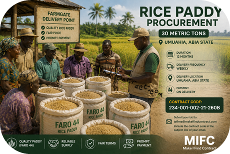 Rice paddy market at farmgate